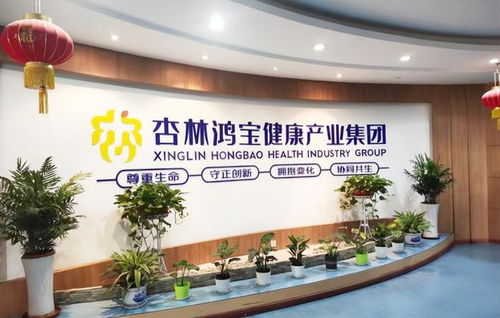 艾瑪醫(yī)療科技攜手杏林鴻寶集團(tuán) 益寶健康項(xiàng)目軟件開發(fā)合作，共筑智慧醫(yī)療新生態(tài)